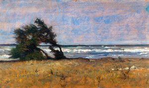 Tempête - Giovanni Fattori